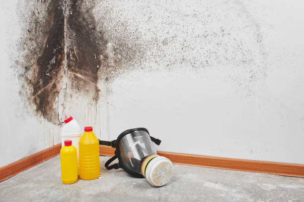 Best Residential Mold Removal  in Lake Caroline, VA