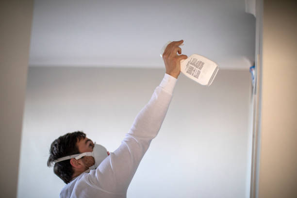 Best Mold Removal Company Near Me  in Lake Caroline, VA