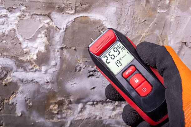 Best Same-Day Mold Removal  in Lake Caroline, VA