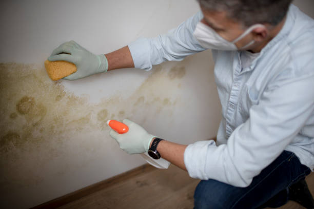 Best Professional Mold Removal  in Lake Caroline, VA