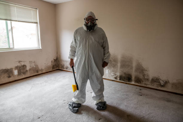 Best Attic Mold Removal  in Lake Caroline, VA