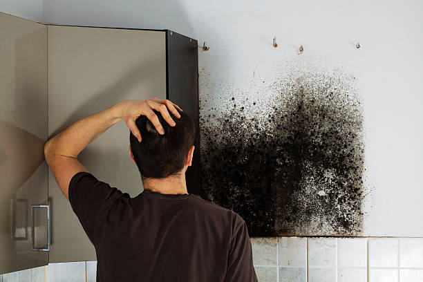 Best Office Mold Removal Services  in Lake Caroline, VA